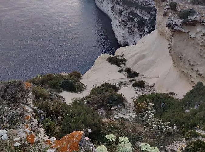 The Garden Gate Nocleg ze śniadaniem 3*